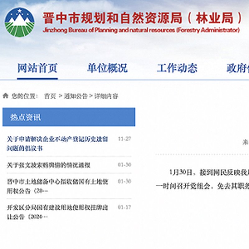 如何在互联网服务领域寻找潜力龙头股？